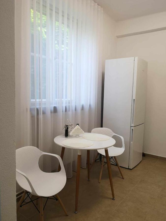 Apartman Dlouha 207 Litoměřice المظهر الخارجي الصورة